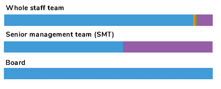 100% bar graphs illustrating data on caring responsibilities, which are included in the chart above